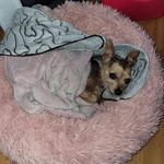 Bruce Casey - @bruce.casey.7161 - Instagram
