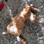Bruce Casey - @mrbrucecasey - Instagram