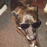 Bruce Casper - @brucecasper - Instagram