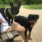 Bruce, Casper & Rocky - @bruce_casper_rocky - Instagram