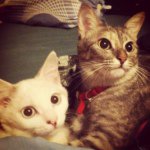 Twinkle Casper Bruce - @twinklecasperbruce - Instagram