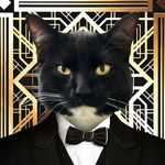 Bruce/Catlin - Neale’s Cat - @bruce_catlinkitty - Instagram