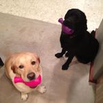Bruce Caton - @bruce.caton.982 - Instagram