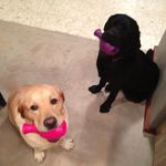 Bruce Caton - @brucecaton - Instagram