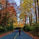 Bruce Caton - @bruce_caton - Instagram