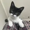 Bruce - @bruce.catt - TikTok