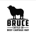 @bruce_cattle_co - Instagram