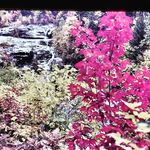 Bruce Cavanaugh - @cavanaugh_bruce - Instagram