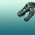 Bruce Cavendish - @bruce_cavendish - Instagram