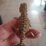 Bruce K Cavender - @cavenderbruce - Instagram