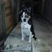 Bruce Ceasar - Facebook
