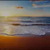 Bruccech - @bruccech - TikTok