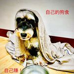 禎禾 - @brucece_chenchen - Instagram