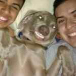 Bruce De La Cerda - @brucedlc - Instagram