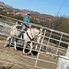 Bruce Arney - @brucearney - TikTok