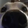 Bruce Cerney - @brucecerney - TikTok