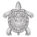 Bruce Chabot - Facebook