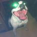 Bruce Chadbourne - Facebook