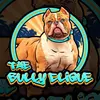 Bruce the champagne merle - @thebully_clique - TikTok