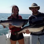Bruce Chaplin - @bernie_and_betty1 - Instagram