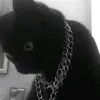 Bruce Chavez - @brucechavez0 - TikTok