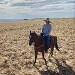 Bruce Chee - @chino_cheesus - Instagram