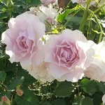 Bruce Cheng - @bruce_cheng29 - Instagram