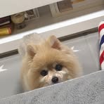 Bruce Cheng - Facebook