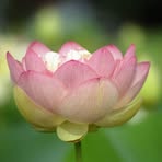 Bruce Cheng - Facebook