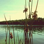 Bruce Chenoweth - @hockeyrobplatinum - Instagram