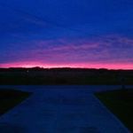 Bruce Chesser - @brucechesser - Instagram