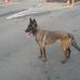 Bruce Chien - Facebook