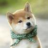 Bruce Chien - @bruce.chien - TikTok
