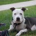 Bruce Childs - Facebook