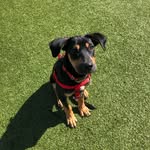 Bruce - @chill.bruce - Instagram