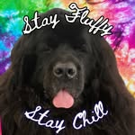Bruce - @chillvibesbruce - Instagram