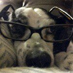 Bruce Chin - @brucechinod - Instagram