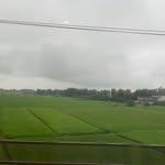 Bruce Chong - @bruce.chong.961 - Instagram