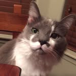 Smokey Bruce Christman - @smokeychristman - Instagram