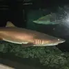 Bruce Chun - @bruce.chun - TikTok