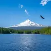 Linley Baruch - @bruce.chu520 - TikTok