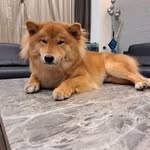 莊鎮陽 - @bruce__chuang - Instagram