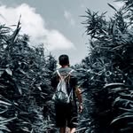 Bruce Chuang - @bruce.chuang1 - Instagram