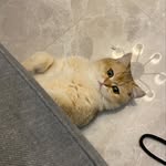 Bruce Chung - @brucechung74 - Instagram