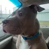 Bruce Cinnamon - @brucecinnamon - TikTok