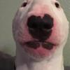 walter - @brucecisnerossanchez0 - TikTok