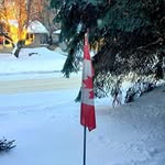 Bruce Coates - @bruce_coates - Instagram