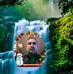 Bruce Coleman - Facebook