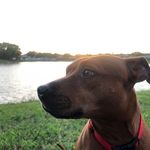 Bruce Collier - @shayy258 - Instagram