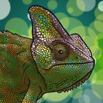 Bruce Cortez - @meltedchameleon - Instagram